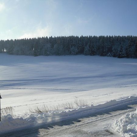 Apartment Sonnenschein Braunlage Buitenkant foto