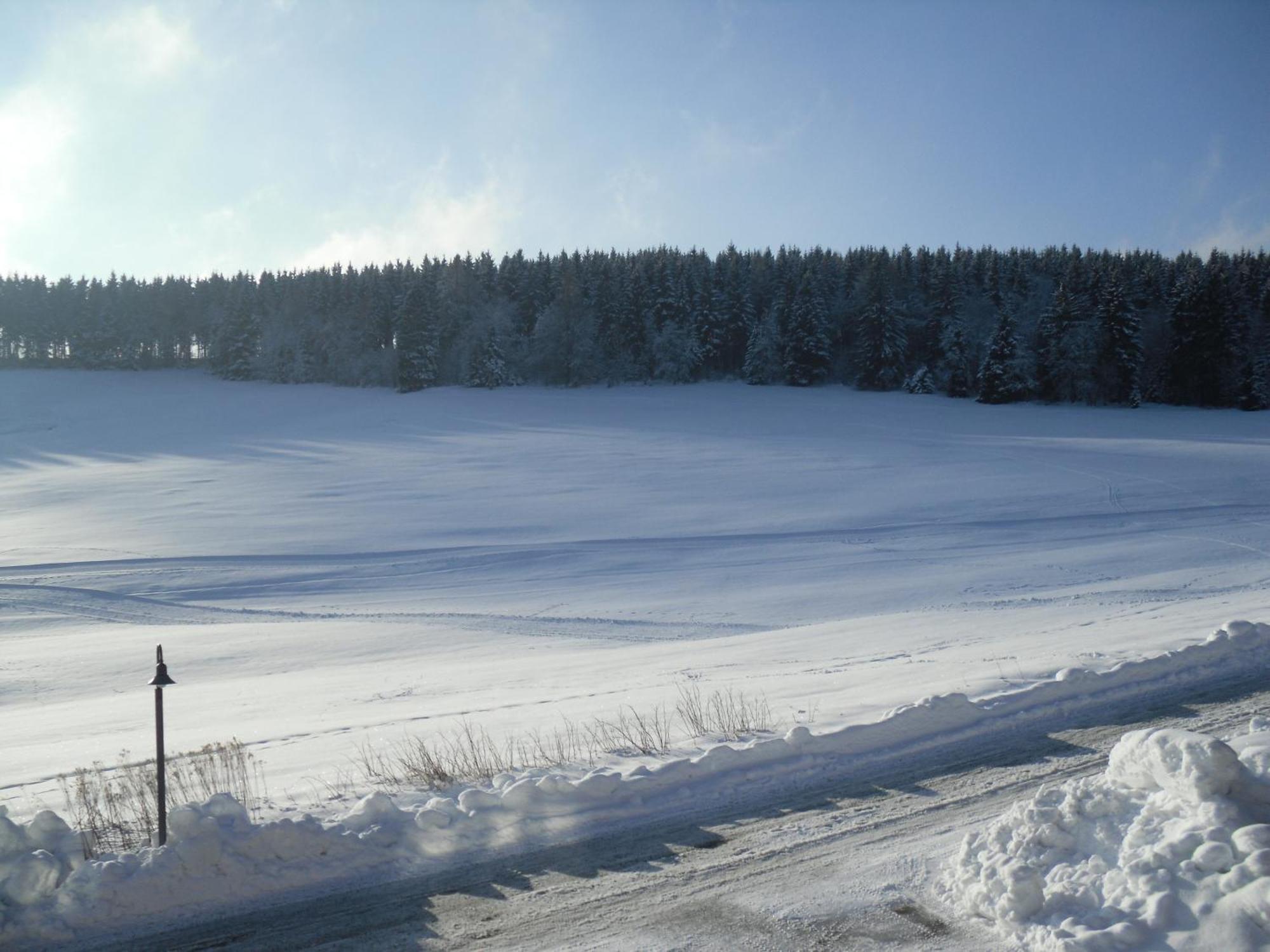 Apartment Sonnenschein Braunlage Buitenkant foto